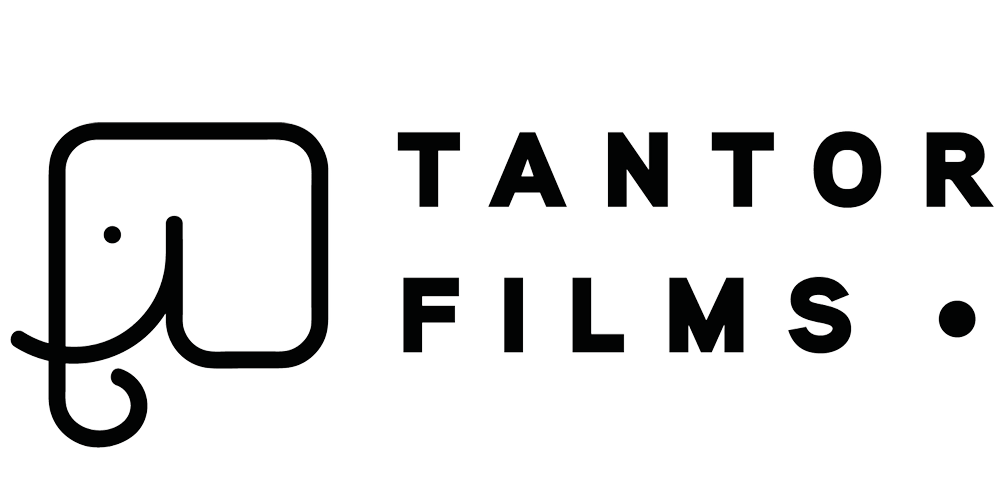 Ingrid Bragemann - Company Logo