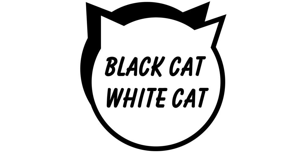 Timo Mitsuaki Otsuki   - Company Logo